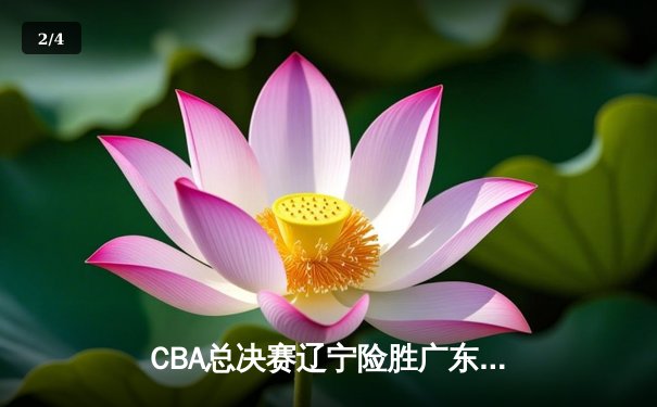CBA总决赛辽宁险胜广东 张镇麟关键三分锁定胜局 - 2